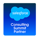 Salesforce Partner Summit badge.