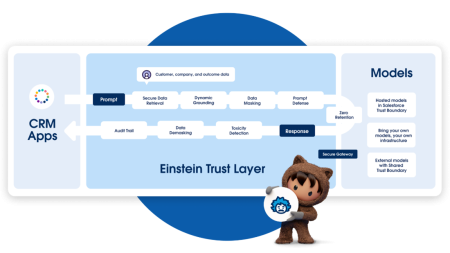 Einstein Trust Layer - SA
