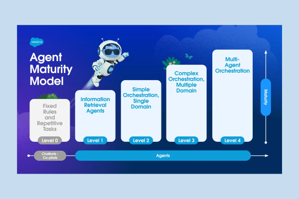 Salesforce maturity model framework showing levels of digital transformation and platform readiness