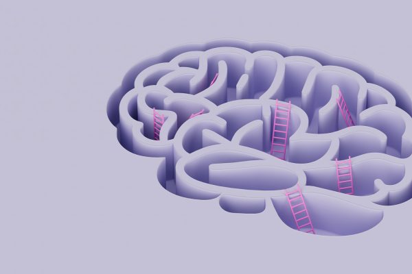 Human brain complexity: practicing emotional intelligence as a growth strategy