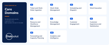 10 Core Field Service Maturity Domains
