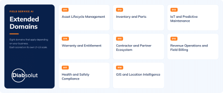 8 Extended Field Service Maturity Domains