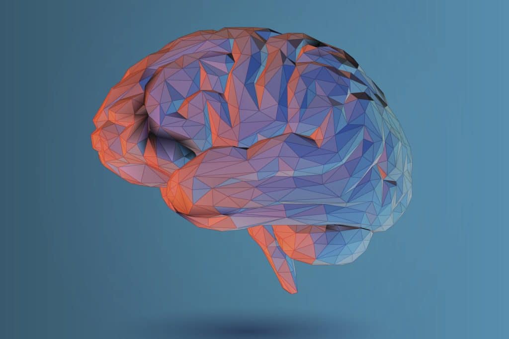 Geometric brain imagery for Enterprise Intelligence