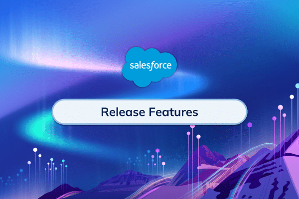 Salesforce Release Features